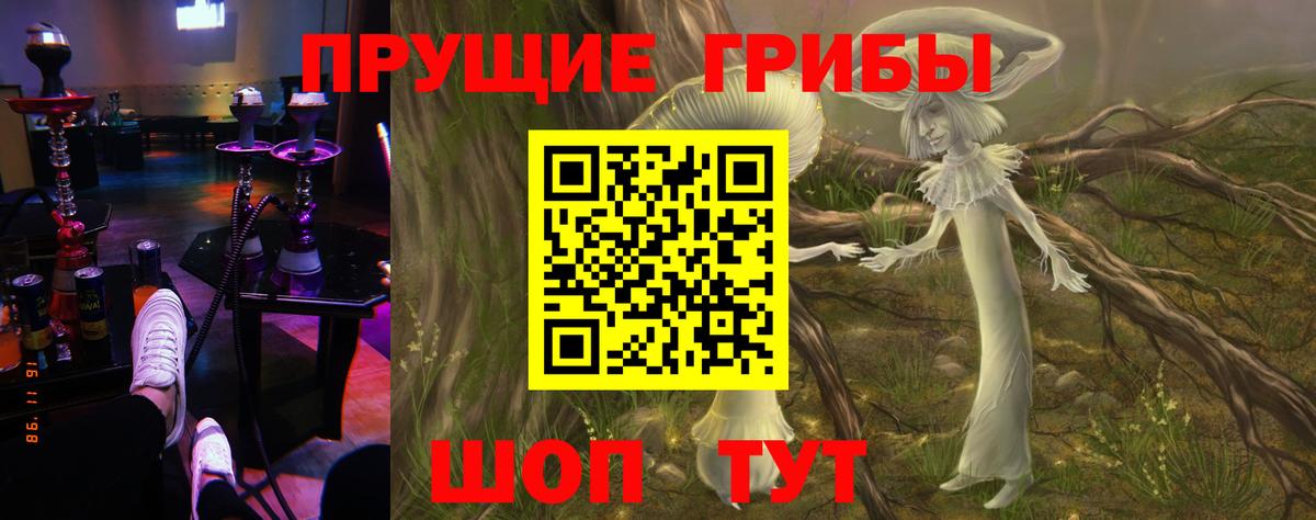 Псилоцибиновые грибы прущие грибы  купить наркотик  Наро-Фоминск  Псилоцибиновые грибы Psilocybine cubensis  Вход с VPN 